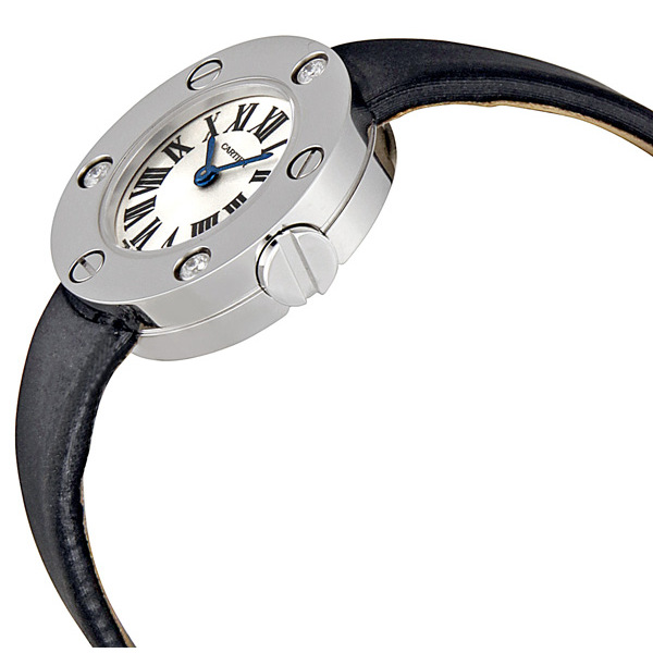Cartier WE800131
