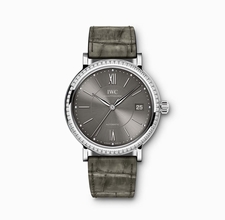   Portofino IW458104 Stainless Steel Watch