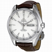 Omega  Seamaster Aqua Terra 231.13.43.22.02.001 Mens Watch