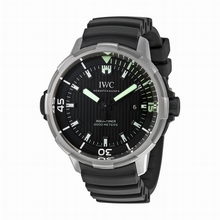   IW358002 Titanium Watch