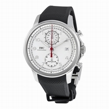   Portugieser IW390502 Stainless Steel Watch