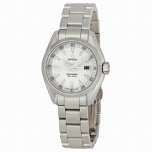Omega  Seamaster Aqua Terra 231.10.30.61.02.001 Quartz Watch