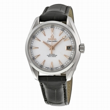Omega  Seamaster 231.13.39.21.02.002 Automatic Watch