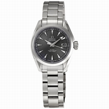 Omega  Seamaster Aqua Terra 231.10.30.20.06.001 Ladies Watch