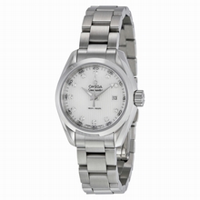   Seamaster Aqua Terra 231.10.30.60.55.001 Quartz Watch