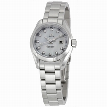   Seamaster Aqua Terra 231.10.30.61.55.001 Ladies Watch