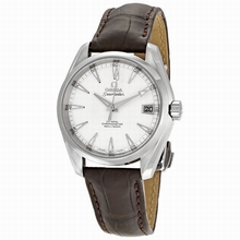 Omega  Seamaster Aqua Terra 231.13.39.21.02.001 Swiss Made Watch