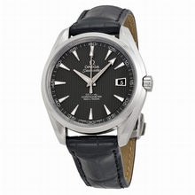   Seamaster Aqua Terra 231.13.42.21.06.001 Automatic Watch