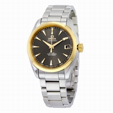 Omega  Seamaster Aqua Terra 231.20.39.21.06.004 Stainless Steel and 18K Yellow Gold Watch