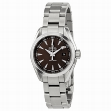 Omega  Seamaster Aqua Terra 23110306006001 Stainless Steel Watch
