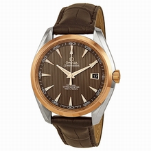   Seamaster Aqua Terra 23123422106001 Stainless Steel Watch